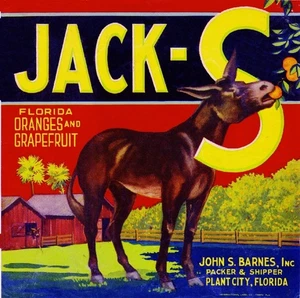 f16a Plant City Florida Jack-S Donkey Mule Orange Citrus Label Fridge Magnet - Picture 1 of 1