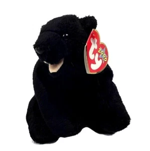 Ty Beanie Baby CINDERS The Black Bear Retired soft plush animal - Picture 1 of 9