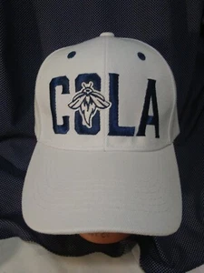 Columbia Fireflies COLA Baseball Cap MILB SC - Picture 1 of 6