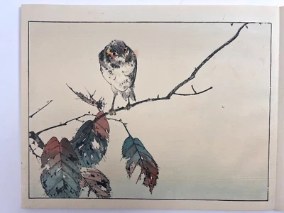 Japanese Woodblock Print Book “Seitei Kachocho” Watanabe Seitei 12 Illustrations - Image 1 of 4