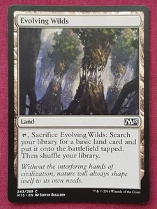 Magic The Gathering 2015 CORE SET M15 EVOLVING WILDS land card MTG - Picture 1 of 2