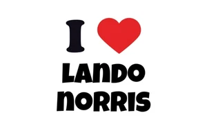 McLaren Lando Norris Flag – F1 Racing Banner for Wall, Garage or Fan Room Decor - Picture 1 of 7