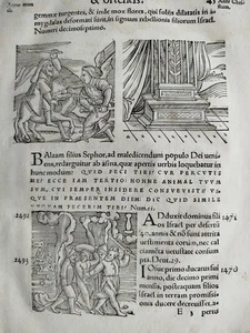 Wolfhart Chronicon Originalblatt Zeichen Wunder Katastrophen (45)  - 1557 - Bild 1 von 4