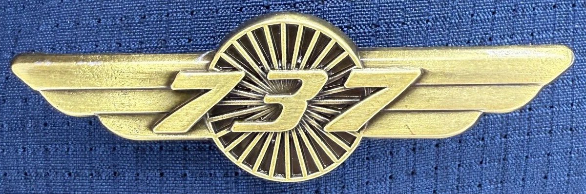 Boeing727 退役記念　ラペルピン boeing pin products for sale | eBay