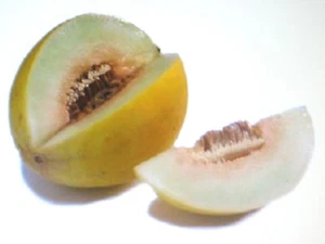 MELÓN*AMARILLO CANARIO * 25 SEMILLAS* MÁS DULCE*SALUDABLE* PEINE GRATUITO. SH - Imagen 1 de 1
