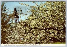 Apple Blossoms, Annapolis Valley, Nova Scotia, 1978 Postcard, Postal Code Cancel