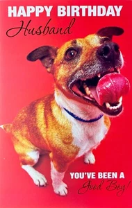 Divertida Tarjeta de CUMPLEAÑOS PARA MARIDO, Good Boy Dog Treat Tonight — Saludos PS + ✉� - Imagen 1 de 4