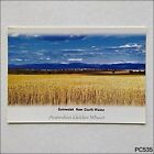 Gunnedah NSW Australian Golden Wheat MV Postcard (P535)
