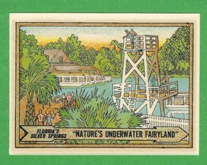 VINTAGE ORIGINAL 1950 SOUVENIR "SILVER SPRINGS" FLORIDA TRAVEL WATER DECAL ART - Picture 1 of 1