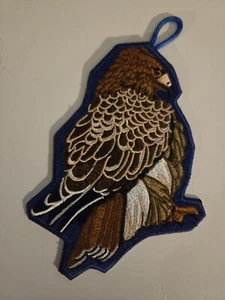 Oa Lodge 617 Chi-hoota-wei X 31 - Picture 1 of 2