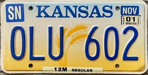 ORIGINAL amerikanisches Autokennzeichen KANSAS "Weizenähren" 1994-2001 USA - Bild 1 von 6