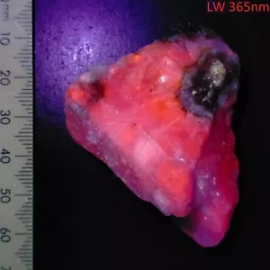 Sodalite Phlogopite Winchite UV reactive LW & SW mineral specimen 273ct - Foto 1 di 9