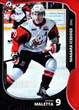 2013-14 Niagara IceDogs #7 Jordan Maletta