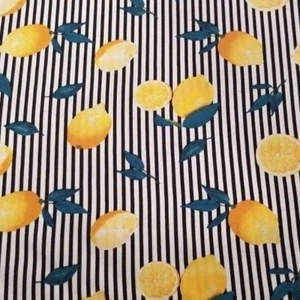 Charming Black and White Stripe Rayon Soft Shirting With Lemons - Fresh, Cute! - Picture 1 of 4