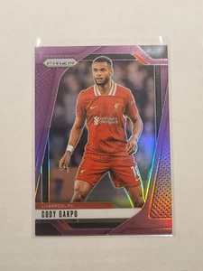 2024-25 Prizm Premier League Cody Gakpo #47 Purple Prizm Parallel Liverpool FC - Picture 1 of 2