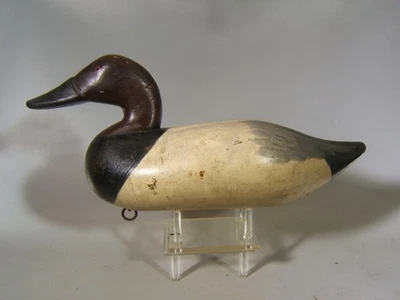 Señuelo de pato Canvasback Madison Mitchell Havre de Grace Md. pintura original ca.1955 Foto 1 de 4