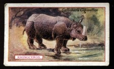 Tobacco Card, Gallaher, ANIMALS & BIRDS OF COMMERCIAL VALUE, 1921,Rhinoceros,#47