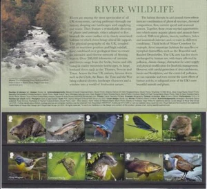 GB 2023 RIVER WILDLIFE SOUVENIR DISPLAY PACK MINT STAMP SET 5 x 2nd + 1St Class - Picture 1 of 6