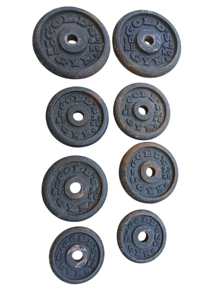 Placas de peso Gold's Gym de 1" 2 (10 lb) 4 (5 lb) 2 (3 lb) en total 46 libras de colección Foto 1 de 1