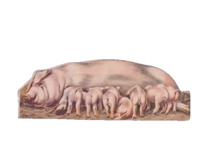 Whitman Educational Graphic Toy Chester Whites Pig VTG Die Cut Litho Cardboard - Picture 1 of 2