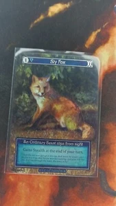 Sly Fox Foil Sorcery - Picture 1 of 2
