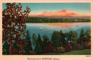 Postal vintage: saludos desde Newport, Maine - lino - sin publicar - Imagen 1 de 2