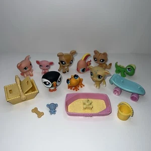 Littlest Pet Shop Konvolut 9 Wackelkopf Haustiere aus 2008 Packung & Zubehör * LESEN - Bild 1 von 5