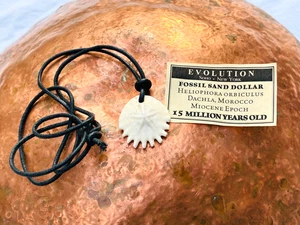 Colgante De Colección Fósil DÓLAR DE ARENA Heliophora Orbiculus Marruecos Mioceno 15 Millones - Imagen 1 de 2