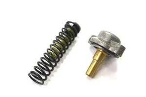 2015 KTM 300 XCW OEM Power Valve Spring - Picture 1 of 4