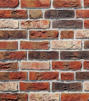 Röben Handformriemchen Dykbrand flämmisch bunt im NF14mm ab 51,90€/m², 1.Wahl - Bild 1 von 4