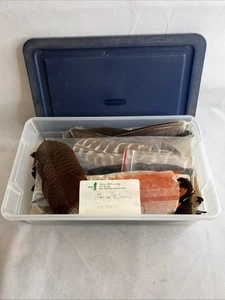 Lote De Colección De 40 Materiales Para Atar Plantilla Mosca XL Ganso Pavo Pluma Pesca - Imagen 1 de 15