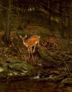 Henry Tanner Fauna 1879 17"x 22" stampa artistica d'archivio - Foto 1 di 1