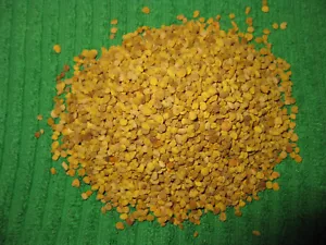 1kg Blütenpollen Imkerqualität Premium Blüten Pollen Bienenpollen Bienenbrot Q+ - Bild 1 von 1
