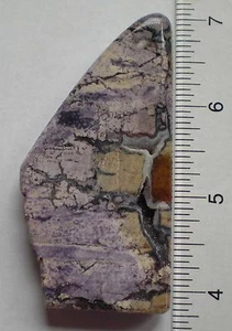 Tiffany Stone Palm Stone sc752 - Picture 1 of 4