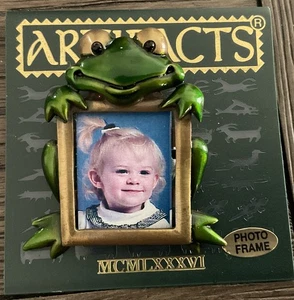 Pin - Frog With A Photo Frame By JJ - Jonette Jewelry On Original Card - Picture 1 of 1