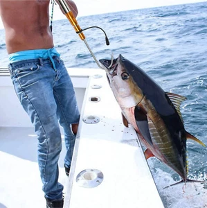 98.43" Telescopic Stainless Gaff  with option hook or net or both - Picture 1 of 15