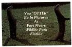 Fort Myers Florida Wildlife Park Otters Comic unused vintage postcard