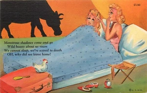 C.T. Postal de cómics de sombras; City Girls in Tent Frightened by Wild Beast C-145 - Imagen 1 de 2