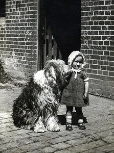 ALTER ENGLISCHER SCHÄFERHUND UND KLEINES MÄDCHEN BEZAUBERNDER HUND GRUSS NOTIZKARTE - Bild 1 von 1