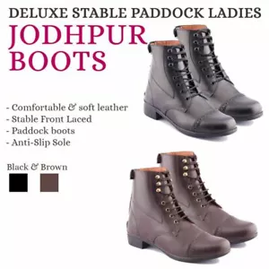 Short Riding Horse Paddock 3 - 8 Womens Ladies Jodhpur Boots Stable Black Brown - Picture 1 of 1