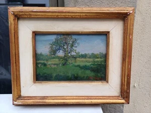 UGO GHEDUZZI OLIO SU TAVOLA QUADRO PAESAGGIO ALBERO 32X 40 CM ALBERO BOSCO - Foto 1 di 6