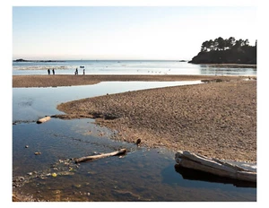 Foto de Little River - California 8x10 en 8,5" x 11" - Imagen 1 de 1