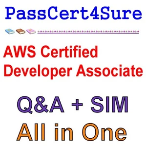 AWS Certified Developer Associate Exam Q&A+SIM - Afbeelding 1 van 1