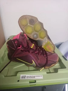 basketball Lebron Xii shoes size Us 9 - Picture 1 of 3
