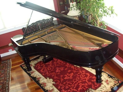 Piano de cola Steinway restaurado (Hamburgo 1895) 'C' Foto 1 de 4