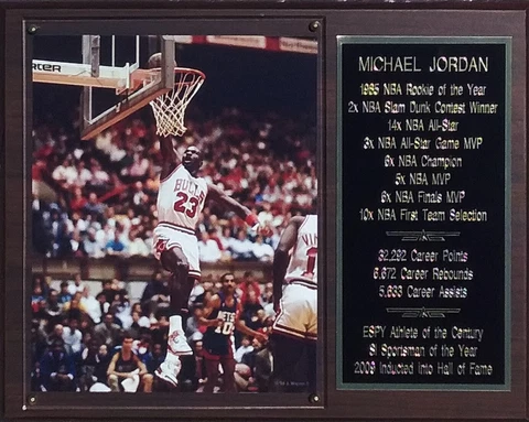 Michael Jordan Chicago Bulls Lay-Up 12x15 Stats Plaque Cover