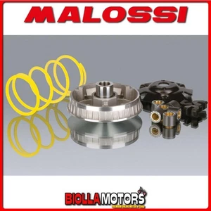 5111257 VARIATORE MALOSSI APRILIA SCARABEO 150 4T LC (ROTAX) MULTIVAR 2000 - - Foto 1 di 5