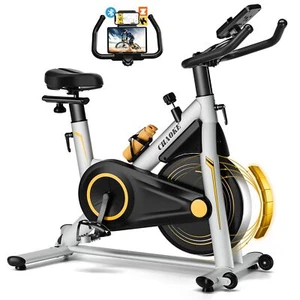2025 NEU Heimtrainer Fahrrad mit App CHAOKE Profi Ultra-Leiser Ergometer Heim... - Bild 1 von 8