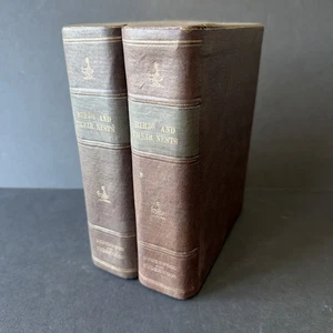 Underwood & Underwood Stereoview Bibliothek Vögel und ihre Nester 1900-1924 Antik - Bild 1 von 6