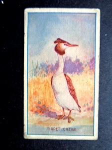 1910 SNIDERS & ABRAHAMS (PETER PAN) *ANIMALES Y PÁJAROS* ZAMPULLINO TIPPET - Imagen 1 de 2